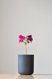 鲜花