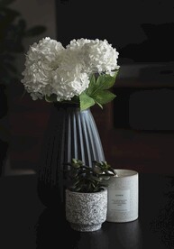绣球花