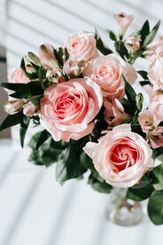玫瑰花