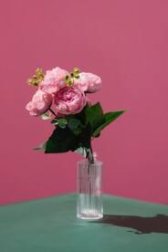 牡丹花