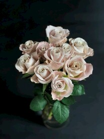 玫瑰花