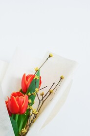 一束鲜花