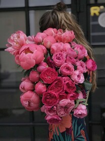 一束鲜花