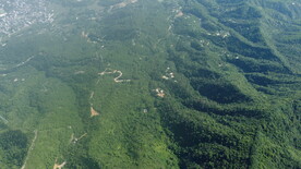 山
