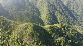 山