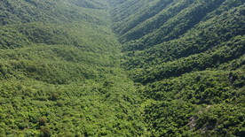 山
