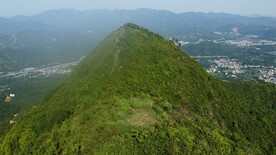 山