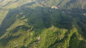 山