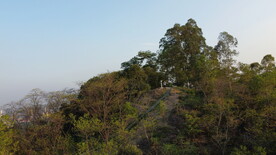 山