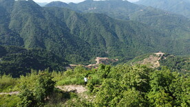 山
