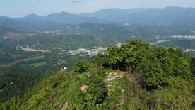 山