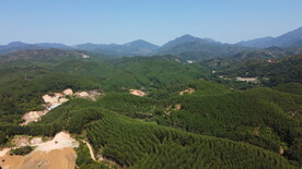 山
