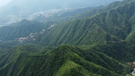 山