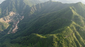 山