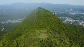 山