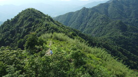 山