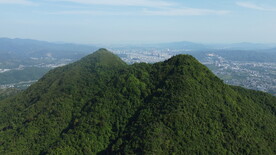 山