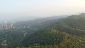 山