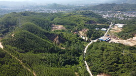 山