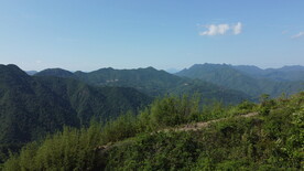 山