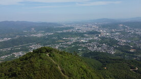 山