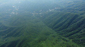 山