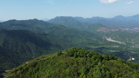 山