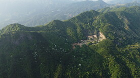 山