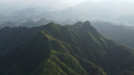 山