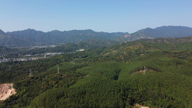 山