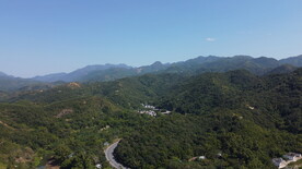 山