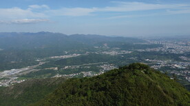 山