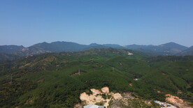 山