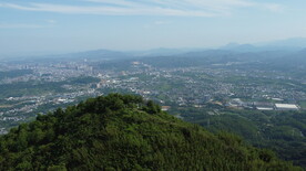 山