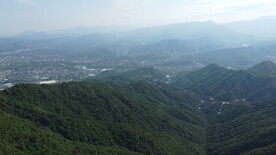 山