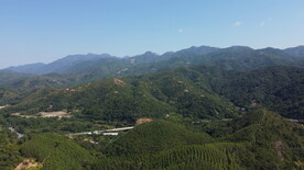 山