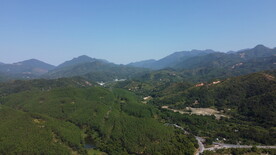 山