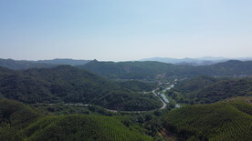 山
