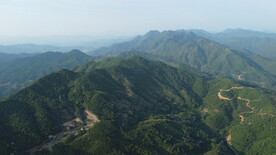 山