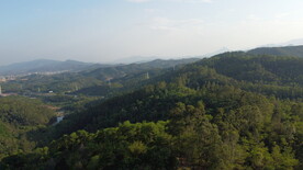 山