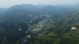 山