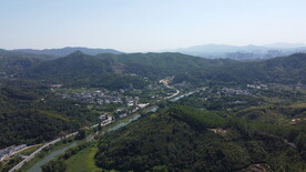 山