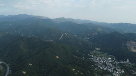 山