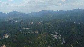 山