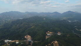 山