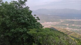 山
