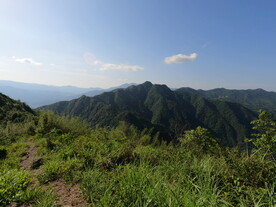 山