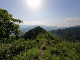 山