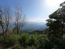 山