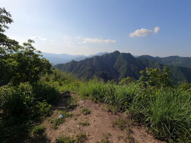 山